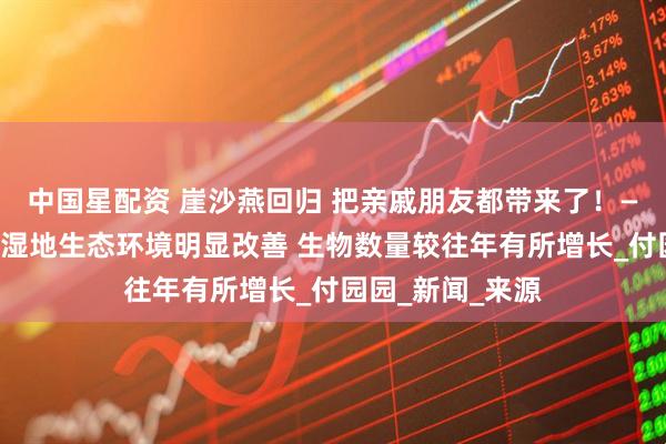 中国星配资 崖沙燕回归 把亲戚朋友都带来了！——石家庄滹沱河湿地生态环境明显改善 生物数量较往年有所增长_付园园_新闻_来源