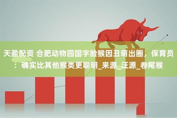 天盈配资 合肥动物园国字脸猴因丑萌出圈，保育员：确实比其他猴类更聪明_来源_汪源_卷尾猴