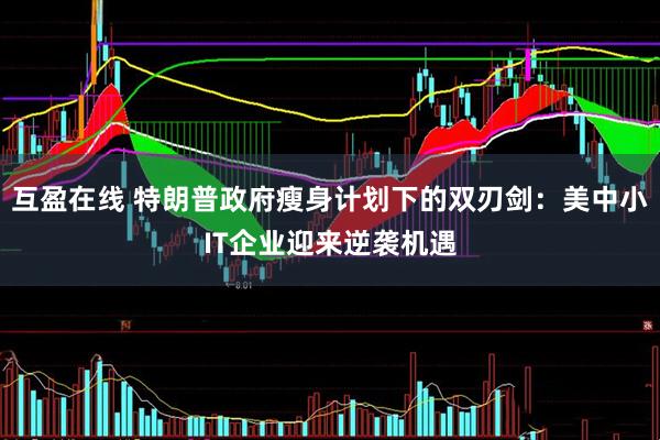 互盈在线 特朗普政府瘦身计划下的双刃剑：美中小IT企业迎来逆袭机遇