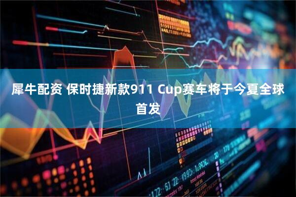 犀牛配资 保时捷新款911 Cup赛车将于今夏全球首发