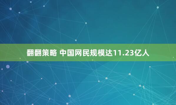 翻翻策略 中国网民规模达11.23亿人