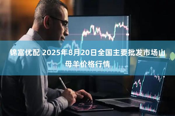 锦富优配 2025年8月20日全国主要批发市场山母羊价格行情