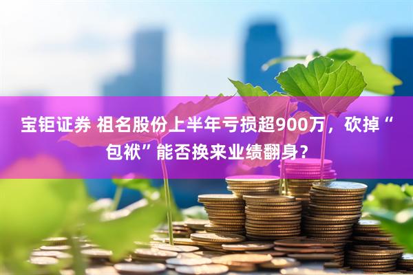 宝钜证券 祖名股份上半年亏损超900万，砍掉“包袱”能否换来业绩翻身？