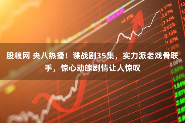 股粮网 央八热播！谍战剧35集，实力派老戏骨联手，惊心动魄剧情让人惊叹