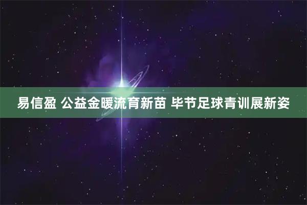 易信盈 公益金暖流育新苗 毕节足球青训展新姿
