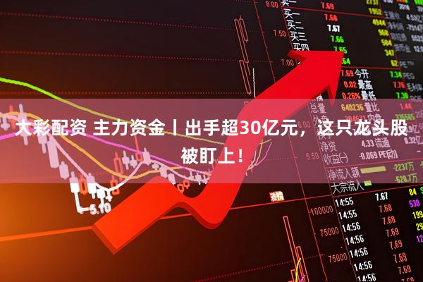 大彩配资 主力资金丨出手超30亿元，这只龙头股被盯上！