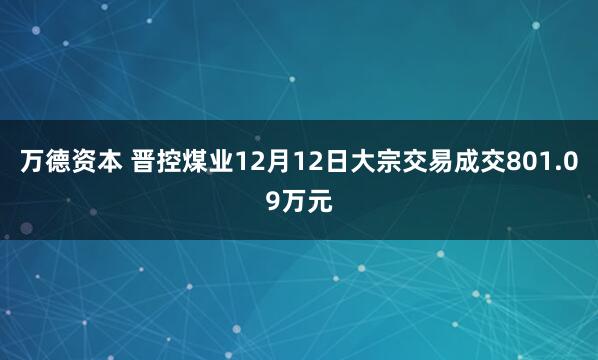 万德资本 晋控煤业12月12日大宗交易成交801.09万元