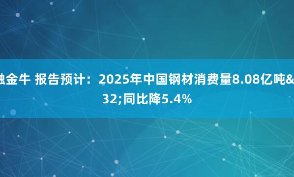 融金牛 报告预计:2025年中国钢材消费量8.08亿吨 同比降5.4%