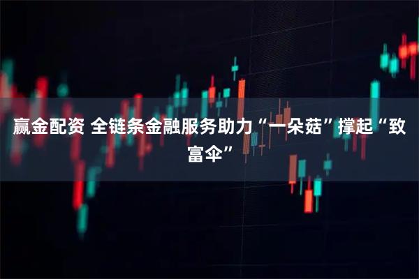 赢金配资 全链条金融服务助力“一朵菇”撑起“致富伞”