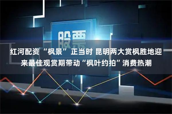 红河配资 “枫景” 正当时 昆明两大赏枫胜地迎来最佳观赏期带动“枫叶约拍”消费热潮
