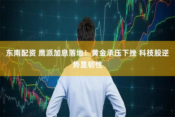 东南配资 鹰派加息落地！黄金承压下挫 科技股逆势显韧性